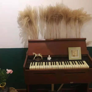 珍妮 - [音乐热歌榜]我是如此相信-《天火》电影主题曲-周杰伦