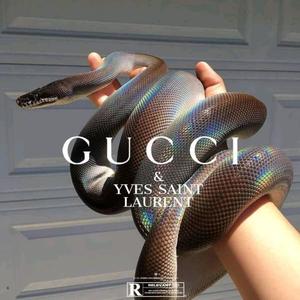 Gucci YSL (Explicit)