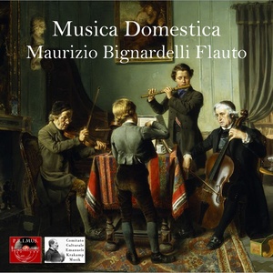 Musica domestica