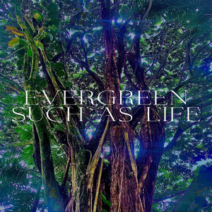 Such as Life / Evergreen