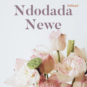 Ndodada Newe