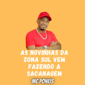 As Novinhas da Zona Sul Vem Fazendo a Sacanagem (Explicit)