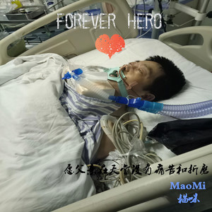 我的英雄父亲 (愿天堂没有痛苦与折磨)