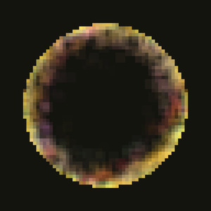 fields of consciousness