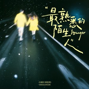 最熟悉的陌生人 (DJ卡点版)封面