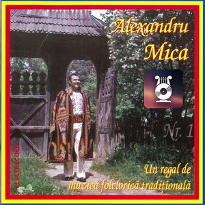 Un Regal De Muzică Folclorică Tradițională, Vol. 1