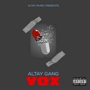 VOX (feat. Chip Chelios, MakNaryn, Bobby Bang, Prometei & Kazmee) (Explicit)