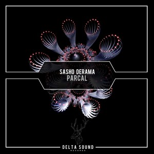 Parcal (Original Mix)