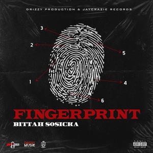 Fingerprint (Explicit)