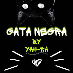 GATA NEGRA SLOWED