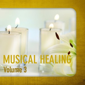 Musical Healing, Vol. 3