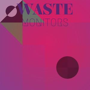 Waste Monitors