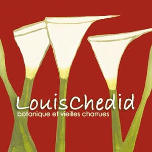La belle (Live au Circle Royal Bruxelles 2003)