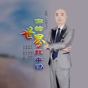 你的世界我来过
