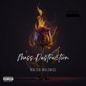 Mass Destruction (Explicit)