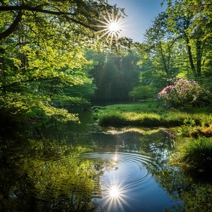 Dunas Del Desierto Soñando