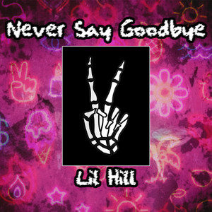 Never Say Goodbye (Explicit)