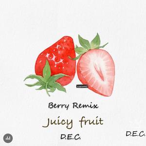 李佳隆-berry remix_缩混 (D.E.C. remix)