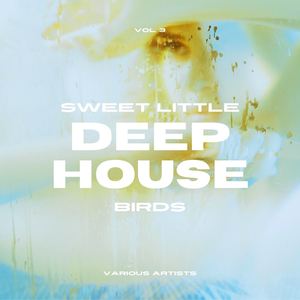 Sweet Little Deep-House Birds, Vol. 3 (Explicit)