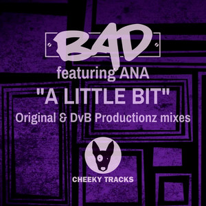 A Little Bit (DvB Productionz Radio Edit)
