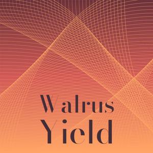 Walrus Yield