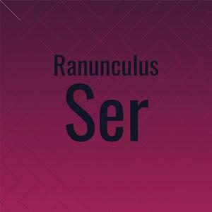 Ranunculus Ser