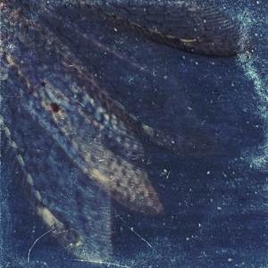 Nilaja (Slowed & Reverb|Explicit)