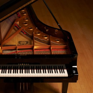 HowYou Doing (Special) (feat. Holacaust) (Explicit)