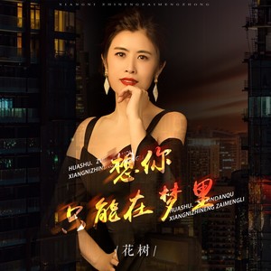 想你只能在梦里 (DJ月之歌版)