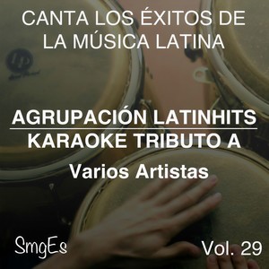 Instrumental Karaoke Series: Varios Artistas, Vol. 29