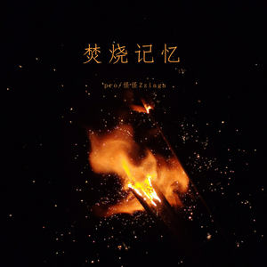 焚烧记忆