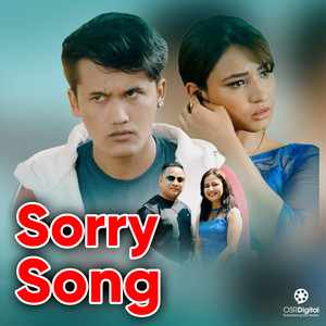Sorry Song