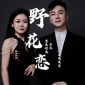野花恋