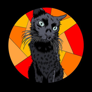 Miaou-Déni Shain & Mister Francky (Remix)