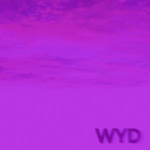 WYD (feat. Dj Crazy Eternal Sound) [Choppaholix Remix]