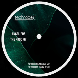 The Prodigy (Pazka Remix)