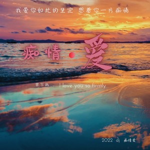 痴情爱 (DJ默涵版伴奏)