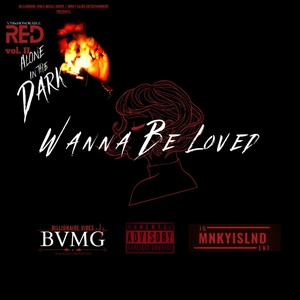 Wanna Be Loved (Say Less) (Explicit)