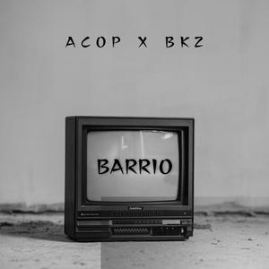 Barrio (feat. BKZ) (Explicit)