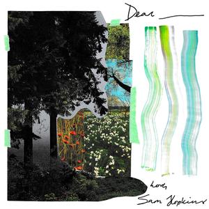 Sam Hopkins - For Ella