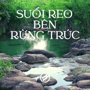 Suối Reo Bên Rừng Trúc