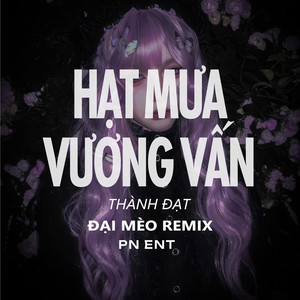 Hạt Mưa Vương Vấn (Đại Mèo Remix)
