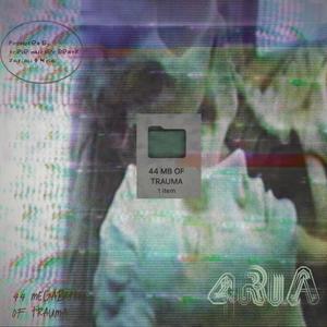 44 MB OF TRAUMA (Explicit)