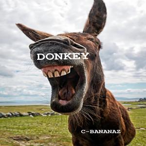 DONKEY (Explicit)