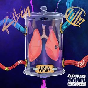 ARIA (Explicit)