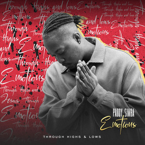 Emotions (Through Highs & Lows)