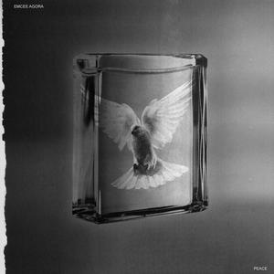 Peace (Explicit)