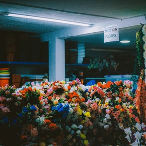 Rosas (feat. João Tamura)