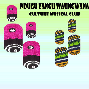 Ndugu Zangu Waungwana