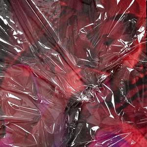 Don't Need (feat. Liv Heavenly) (Explicit)